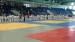 DSC00880 neu.jpg